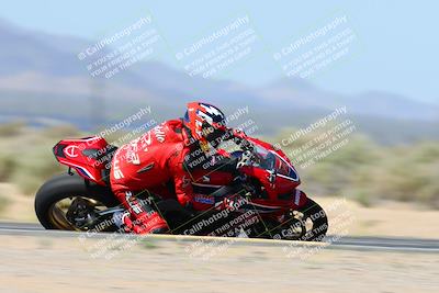 media/Apr-13-2024-SoCal Trackdays (Sat) [[f1617382bd]]/4-Turn 16 Inside Speed Pans (1030am)/